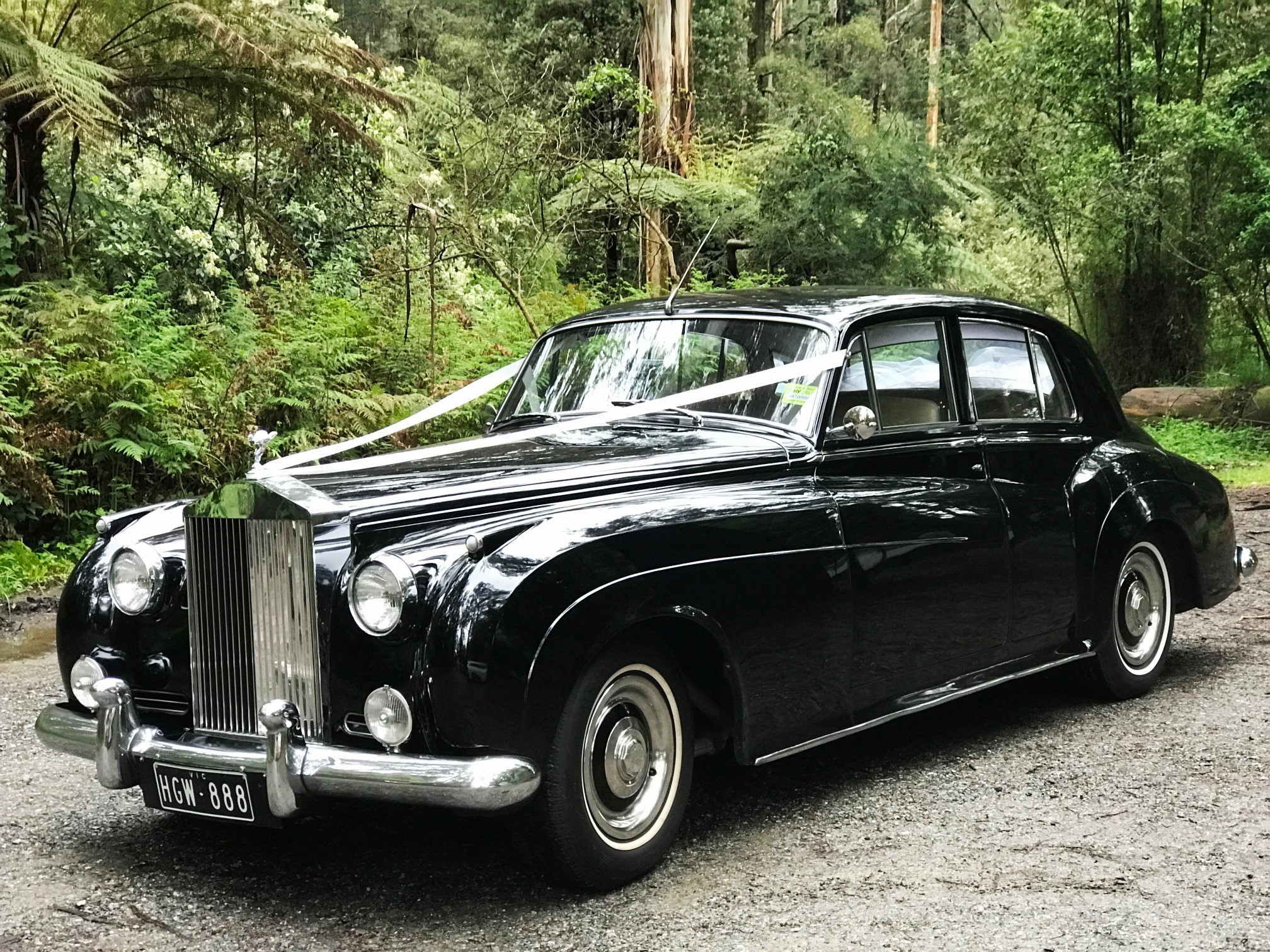 1959 Rolls Royce Silver Cloud II