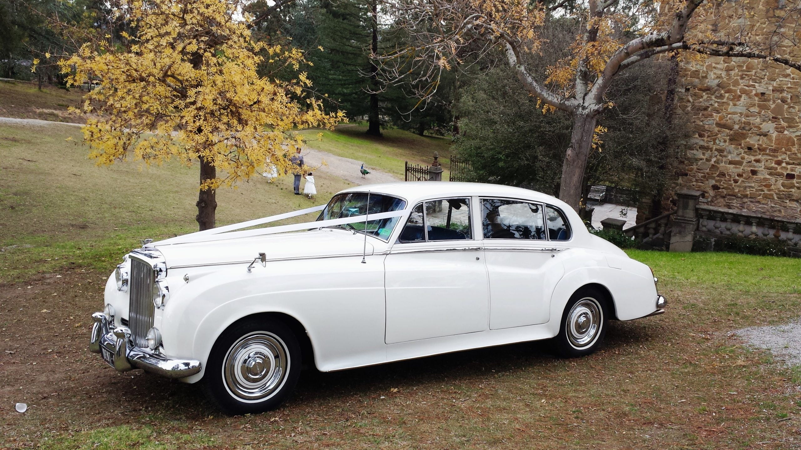 1960 Bentley Cloud LWB (2)